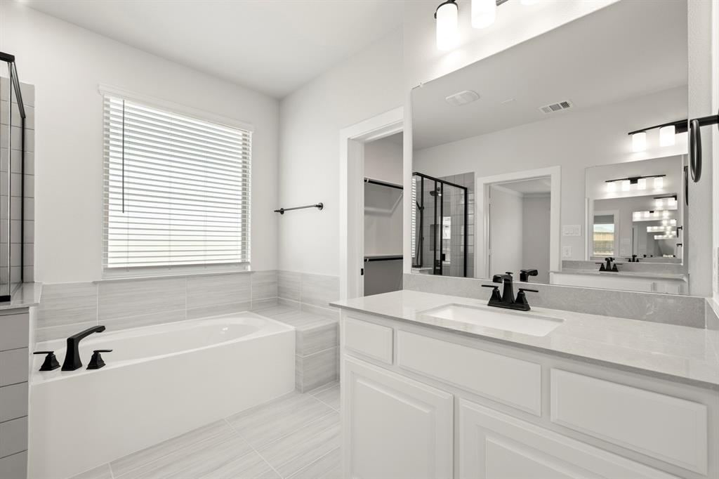 4213 Bellview Way Celina, TX 75009 - Photo 19 of 29 a bathroom with sink bathtub and mirror