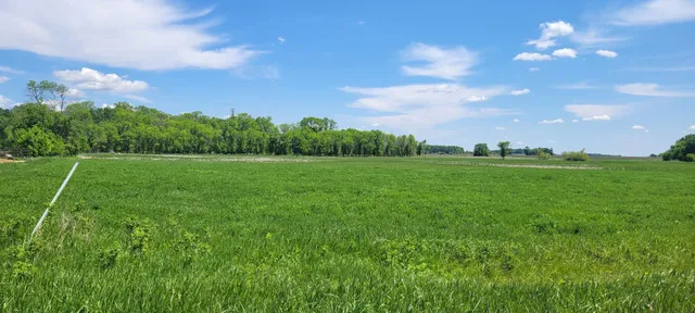 $180,000 | Xxx 455th Avenue, Arlington, MN 55307