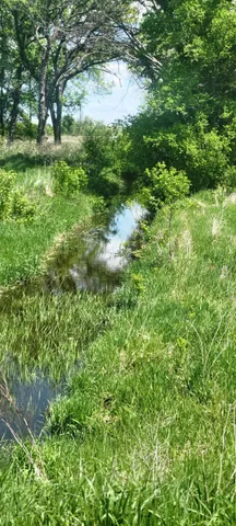 $180,000 | Xxx 455th Avenue, Arlington, MN 55307