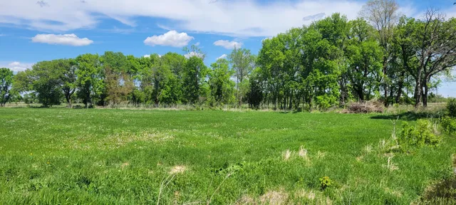 $180,000 | Xxx 455th Avenue, Arlington, MN 55307