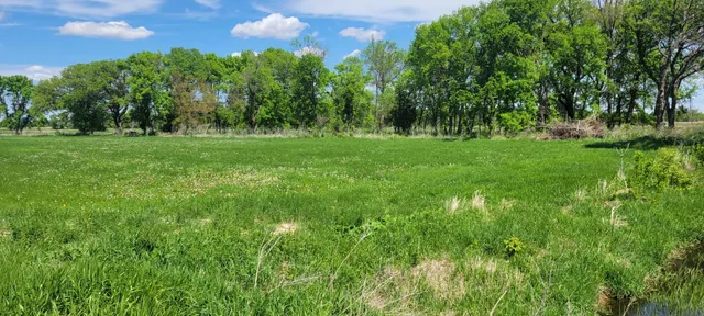 $180,000 | Xxx 455th Avenue, Arlington, MN 55307