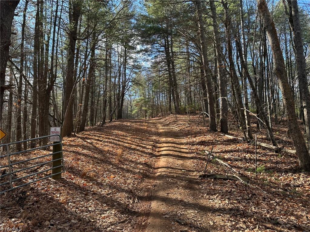 Tbd2 Scout Road Lenoir, NC 28645 - Photo 11 of 38