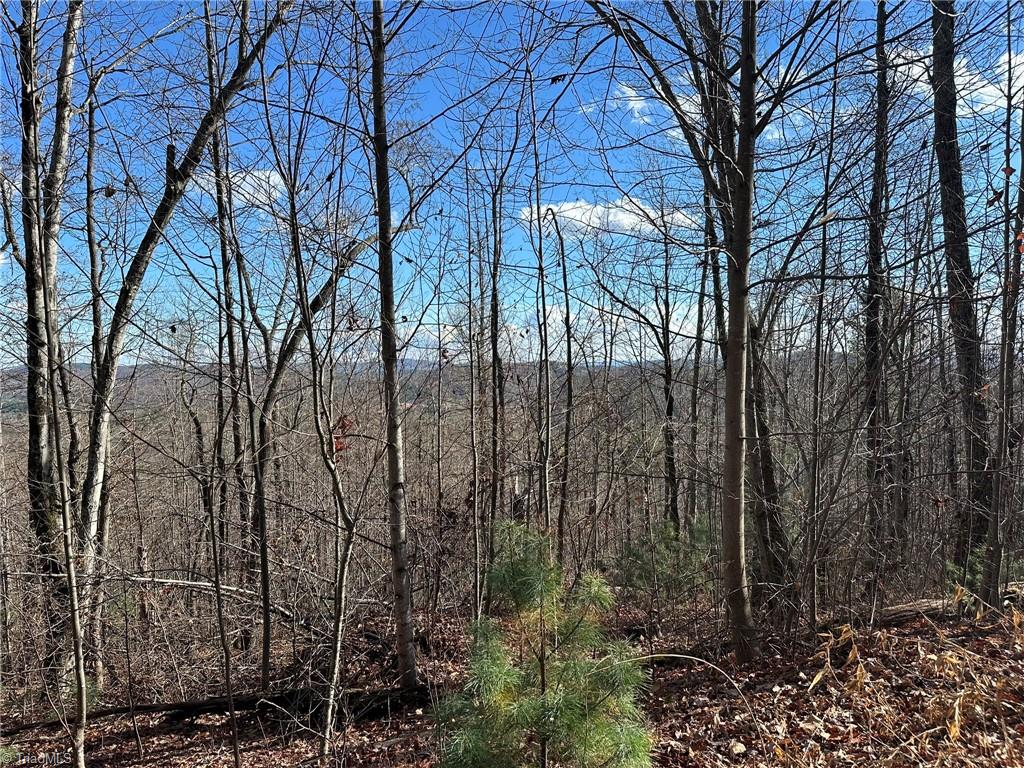 Tbd2 Scout Road Lenoir, NC 28645 - Photo 12 of 38