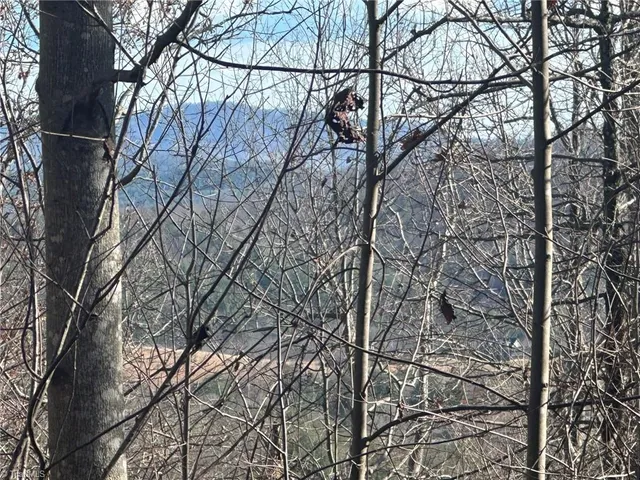 $798,000 | Tbd2 Scout Road, Lenoir, NC 28645