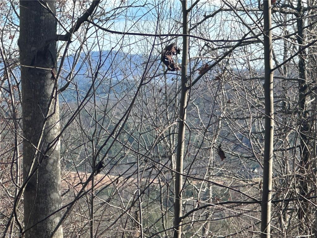 Tbd2 Scout Road Lenoir, NC 28645 - Photo 13 of 38