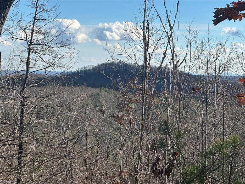 Tbd2 Scout Road Lenoir, NC 28645 - Photo 17 of 38