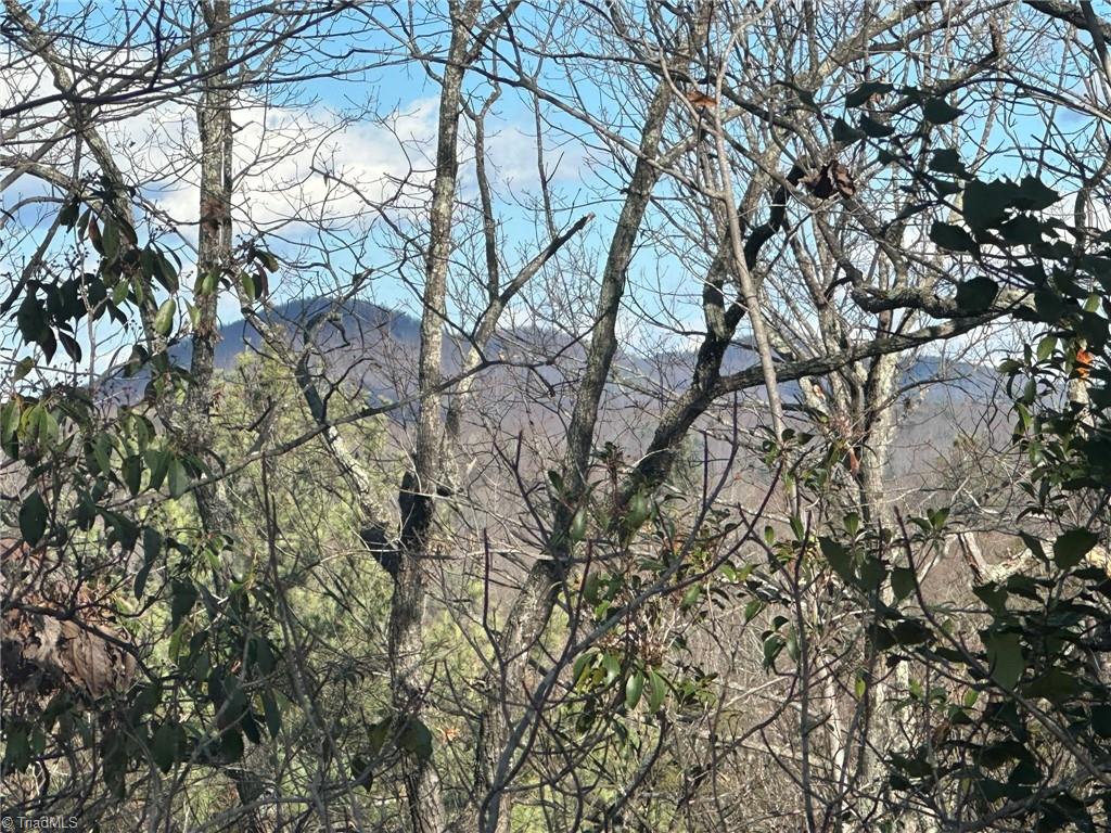 Tbd2 Scout Road Lenoir, NC 28645 - Photo 18 of 38