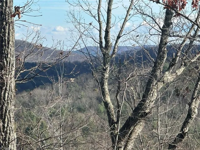 $798,000 | Tbd2 Scout Road, Lenoir, NC 28645