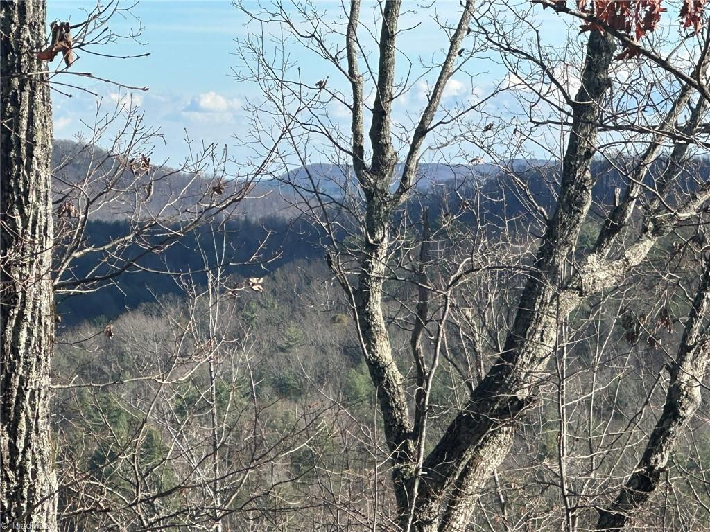 Tbd2 Scout Road Lenoir, NC 28645 - Photo 19 of 38