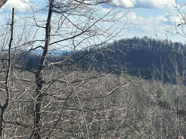 $798,000 | Tbd2 Scout Road, Lenoir, NC 28645