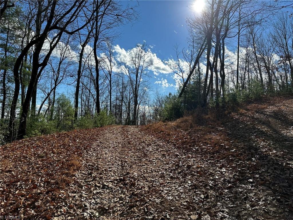 Tbd2 Scout Road Lenoir, NC 28645 - Photo 2 of 38
