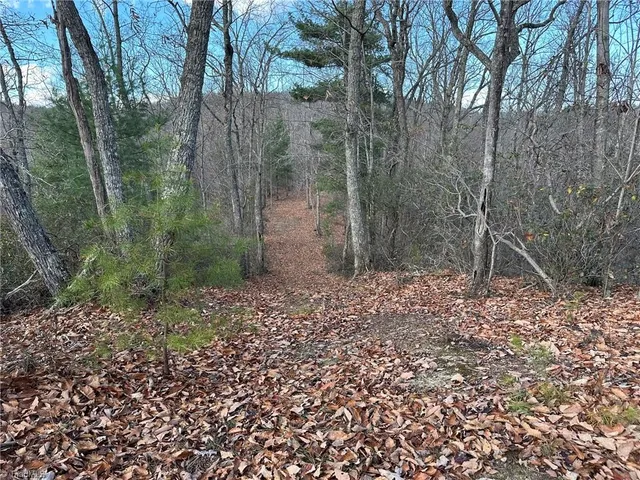 $798,000 | Tbd2 Scout Road, Lenoir, NC 28645