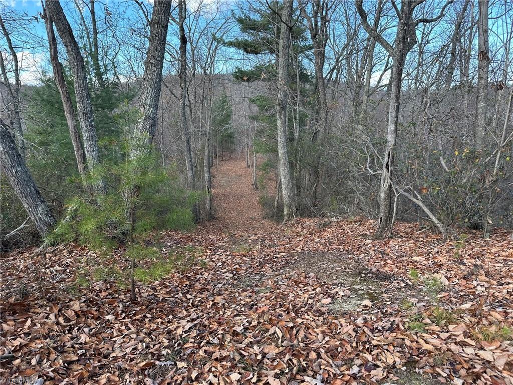 Tbd2 Scout Road Lenoir, NC 28645 - Photo 23 of 38