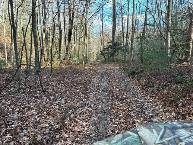 $798,000 | Tbd2 Scout Road, Lenoir, NC 28645