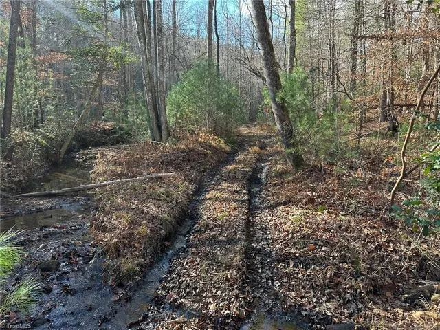 $798,000 | Tbd2 Scout Road, Lenoir, NC 28645