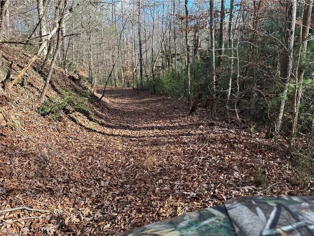 $798,000 | Tbd2 Scout Road, Lenoir, NC 28645