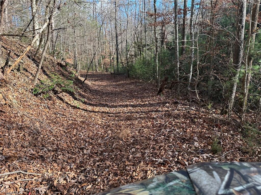 Tbd2 Scout Road Lenoir, NC 28645 - Photo 29 of 38