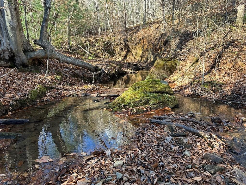Tbd2 Scout Road Lenoir, NC 28645 - Photo 31 of 38