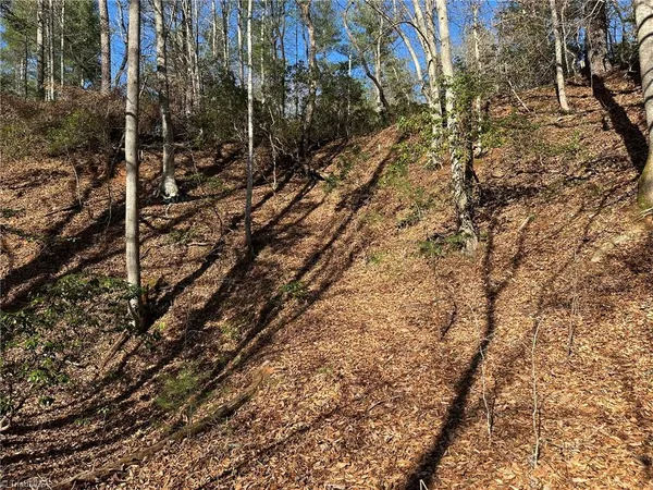 $798,000 | Tbd2 Scout Road, Lenoir, NC 28645