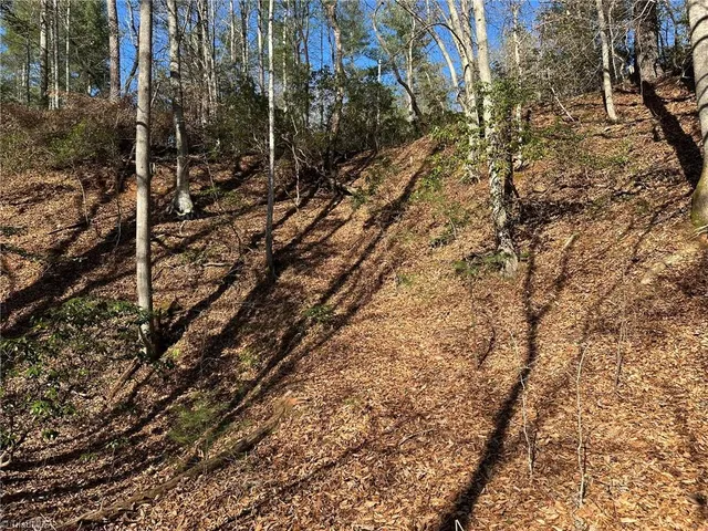 $798,000 | Tbd2 Scout Road, Lenoir, NC 28645