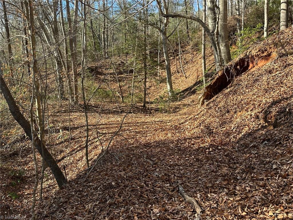 Tbd2 Scout Road Lenoir, NC 28645 - Photo 37 of 38