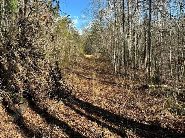 $798,000 | Tbd2 Scout Road, Lenoir, NC 28645