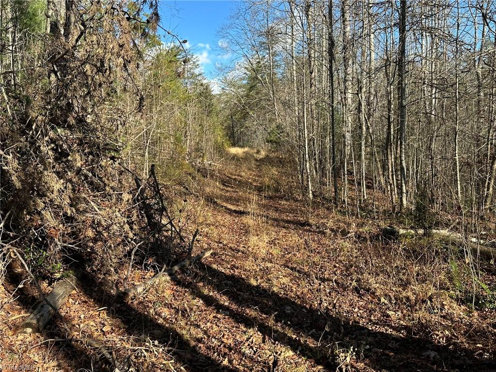 Tbd2 Scout Road Lenoir, NC 28645 - Photo 38 of 38