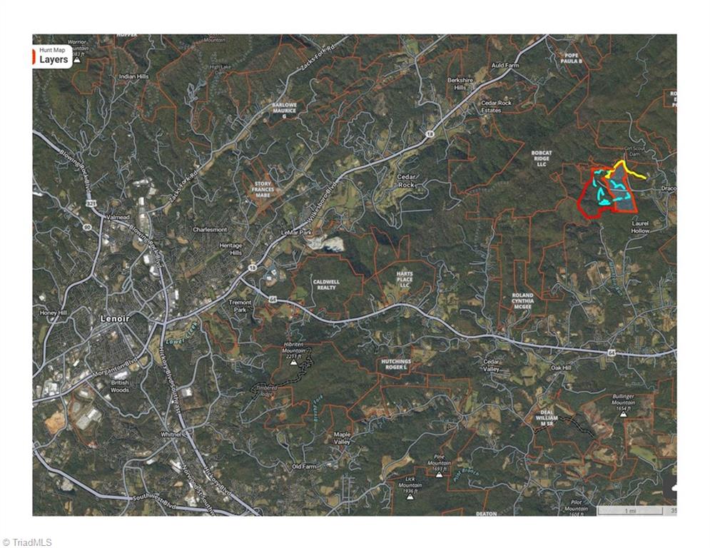 Tbd2 Scout Road Lenoir, NC 28645 - Photo 4 of 38