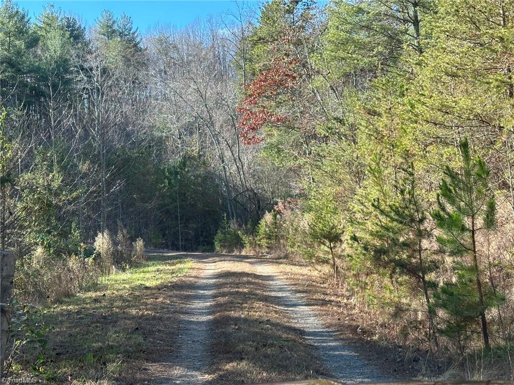 Tbd2 Scout Road Lenoir, NC 28645 - Photo 6 of 38