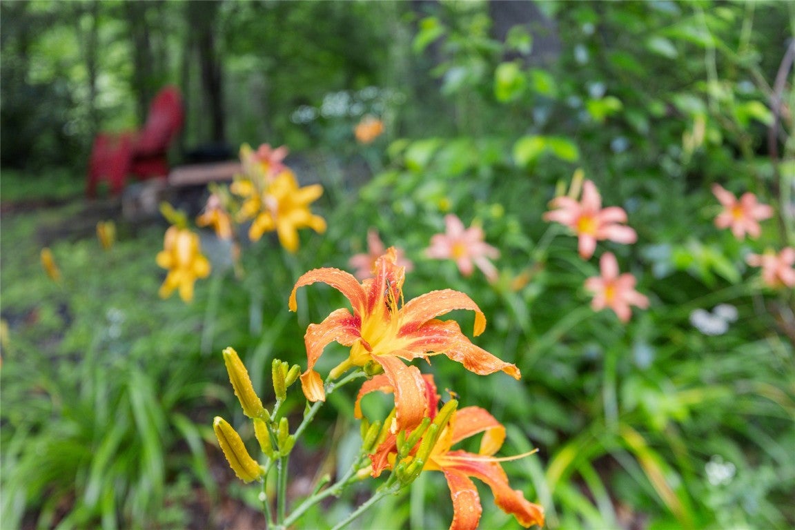 3398 Cullowhee Forest Road Cullowhee, NC 28723 - Photo 48 of 100 Gallery Image 48