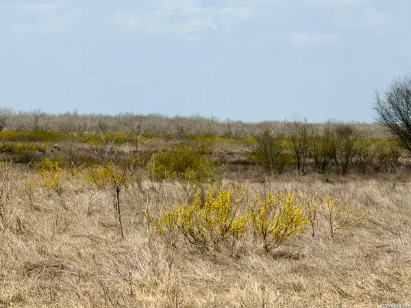 $675,000 | 1550 County Road 300, Jourdanton, TX 78026