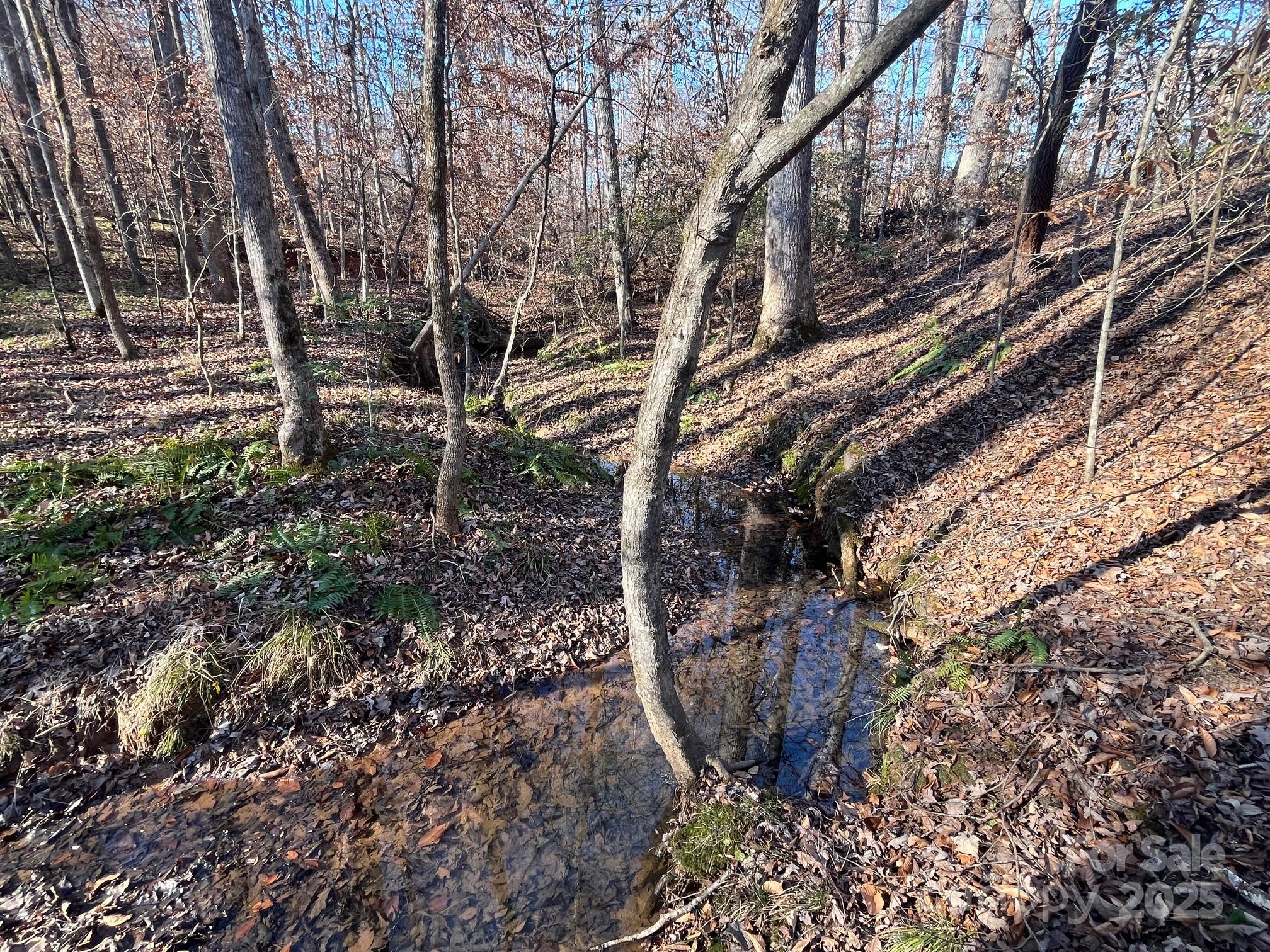 0 Hudlow Road, Unit 2 Forest City, NC 28043 - Photo 17 of 17 Gallery Image 17
