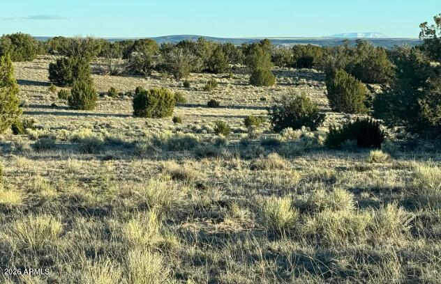 910 County Road St. Johns, AZ 85936 - Photo 10 of 12 910 County Rd N6657