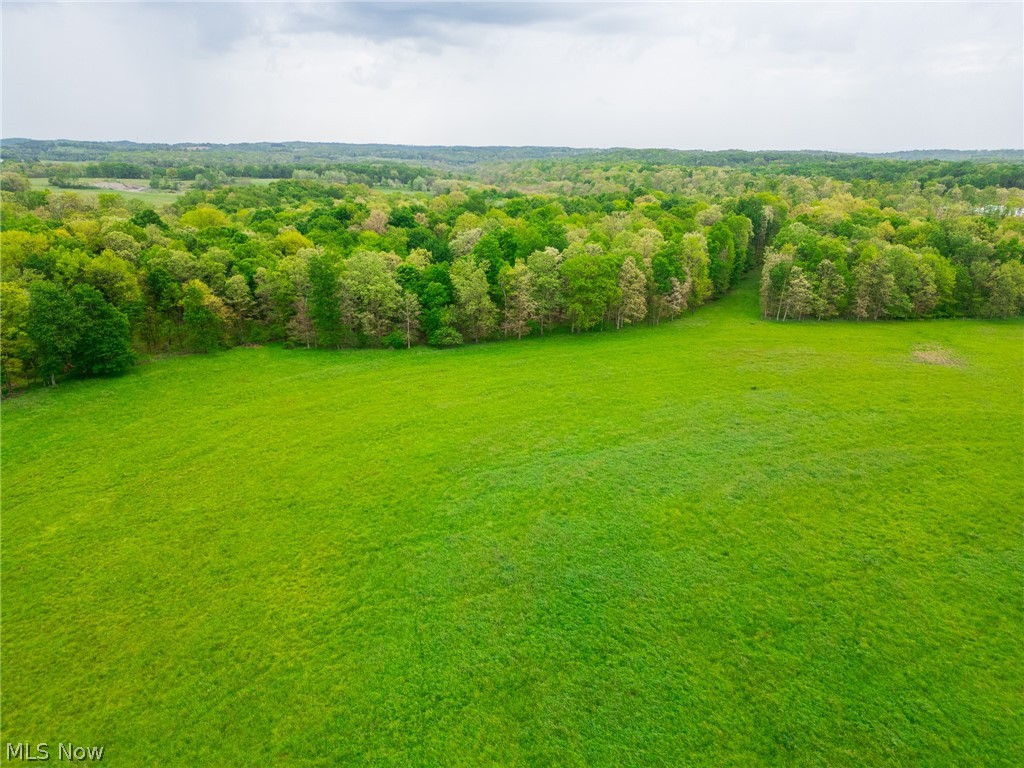Emerick Road Summitville, OH 43962 - Photo 13 of 47