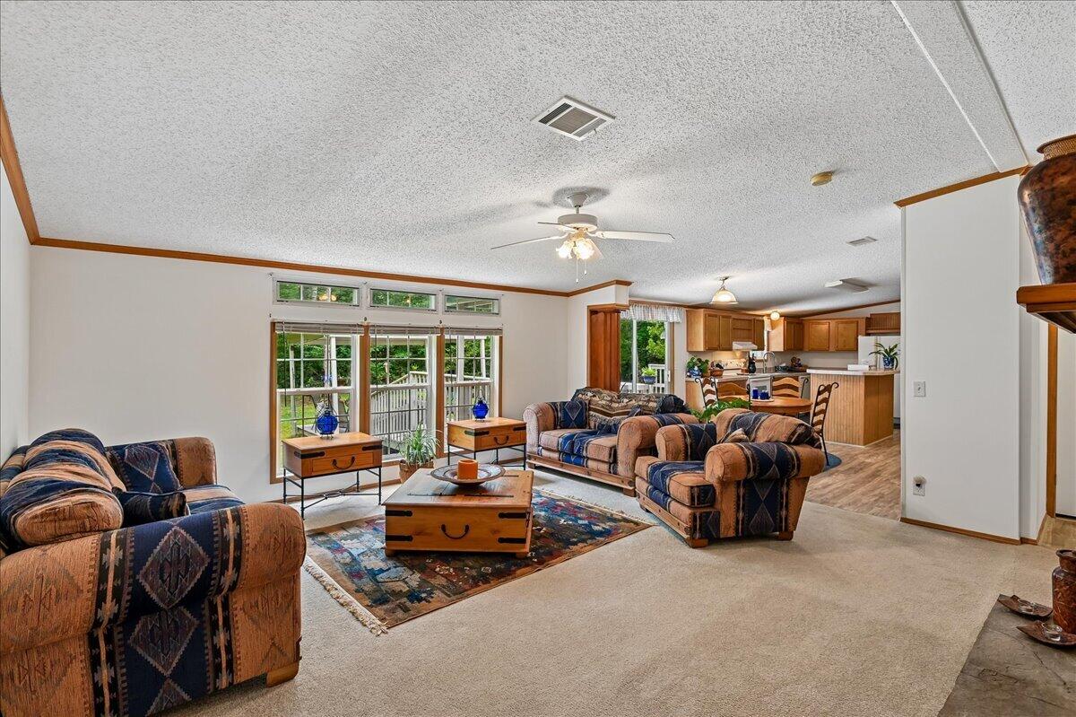 7089 Parkers Ferry Road Adams Run, SC 29426 - Photo 51 of 82 49-Family Room