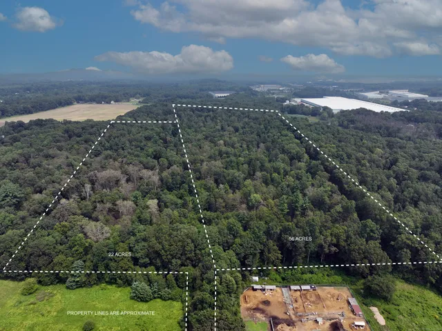 a view of a field of grass and trees