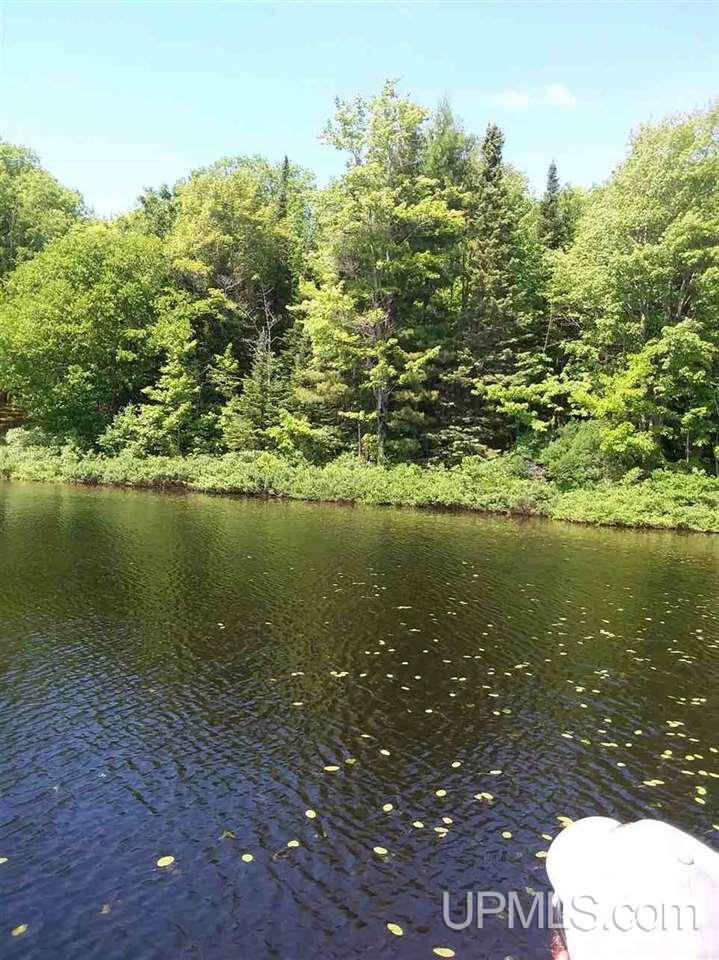 Tbd Off Telephone Road, Unit H Toivola, MI 49965 - Photo 4 of 5