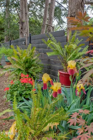 $620,000 | 130 Solar Street, Bristol, VA 24201