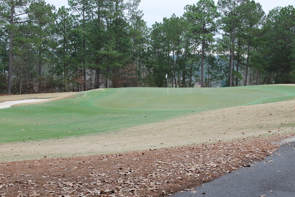 133 Foxhound Run Road Aiken, SC 29803 - Photo 5 of 8
