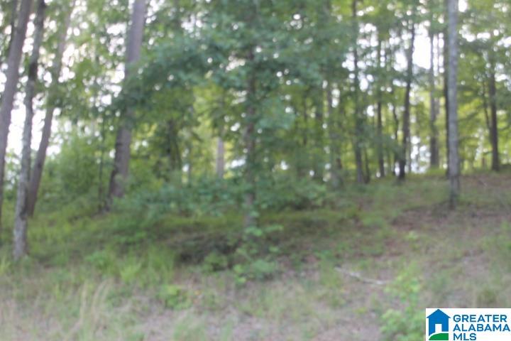0 Red Cedar Drive, Unit 121 Wedowee, AL 36278 - Photo 9 of 21