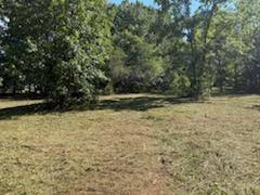 0 Wells Lane Guild, TN 37340 - Photo 2 of 9 image000001