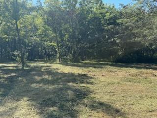 0 Wells Lane Guild, TN 37340 - Photo 6 of 9 image000007