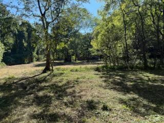 0 Wells Lane Guild, TN 37340 - Photo 7 of 9 image000010