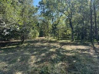 0 Wells Lane Guild, TN 37340 - Photo 8 of 9 image000009