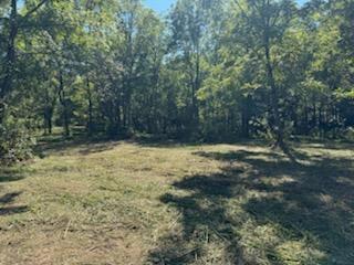 0 Wells Lane Guild, TN 37340 - Photo 9 of 9 image000008