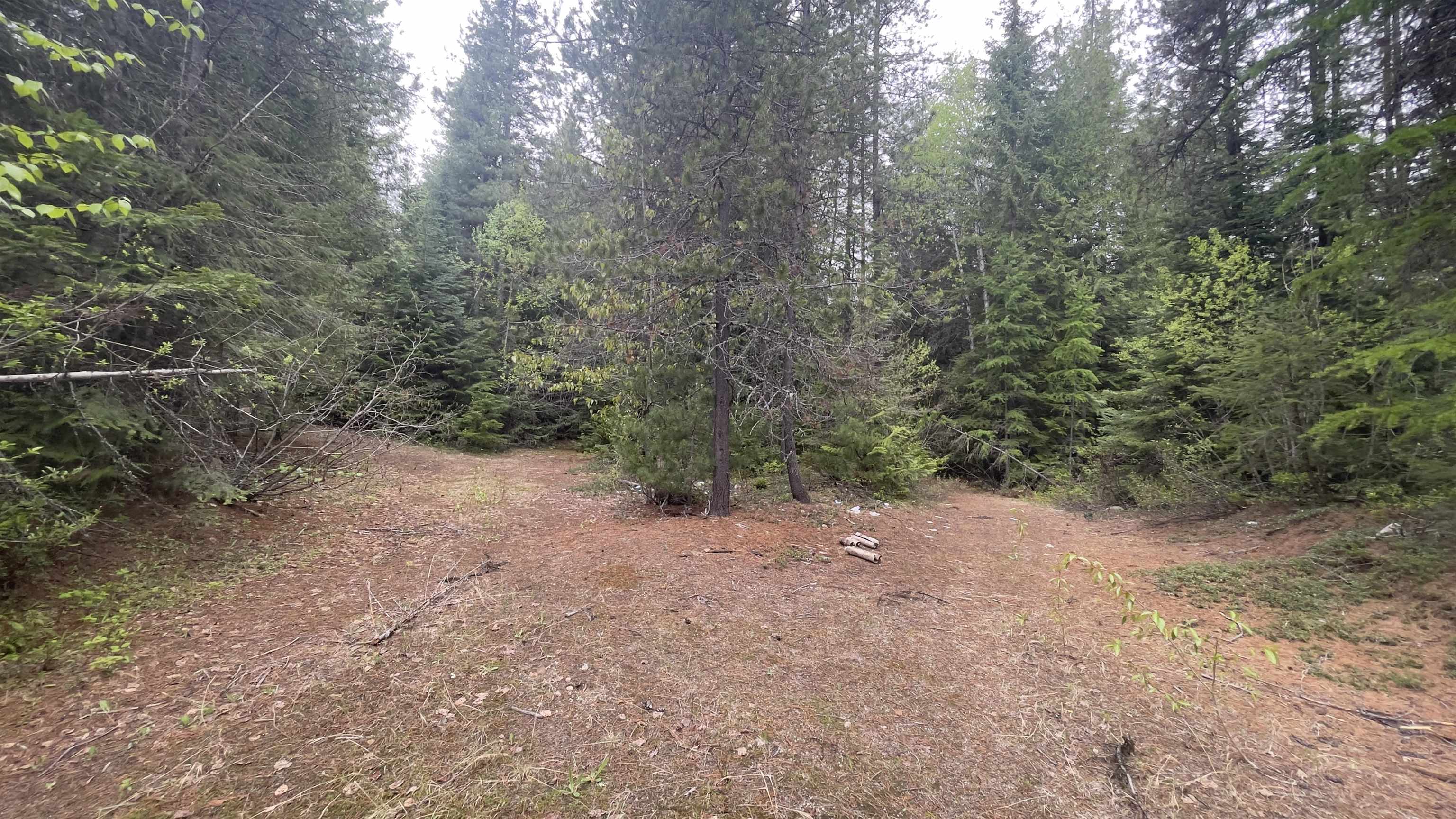 3084 Sicley Road Cusick, WA 99119 - Photo 2 of 9