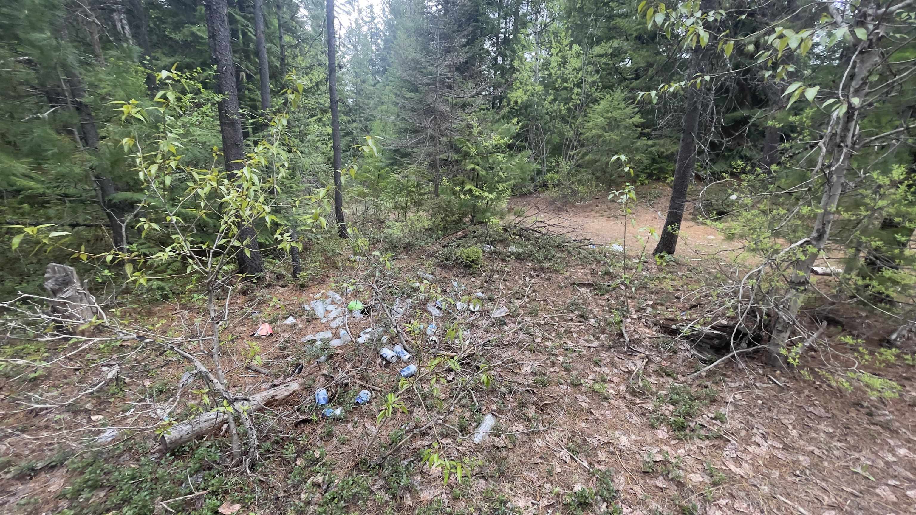 3084 Sicley Road Cusick, WA 99119 - Photo 3 of 9