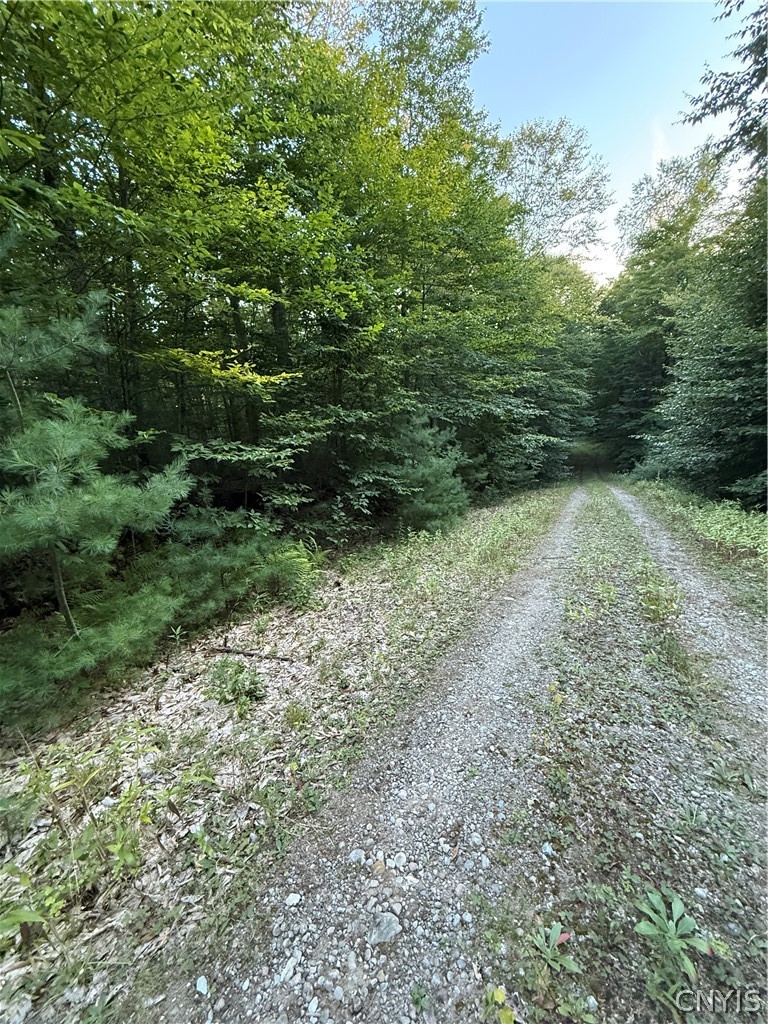 Lot #2 River Road Forestport, NY 13338 - Photo 2 of 18 Gallery Image 2