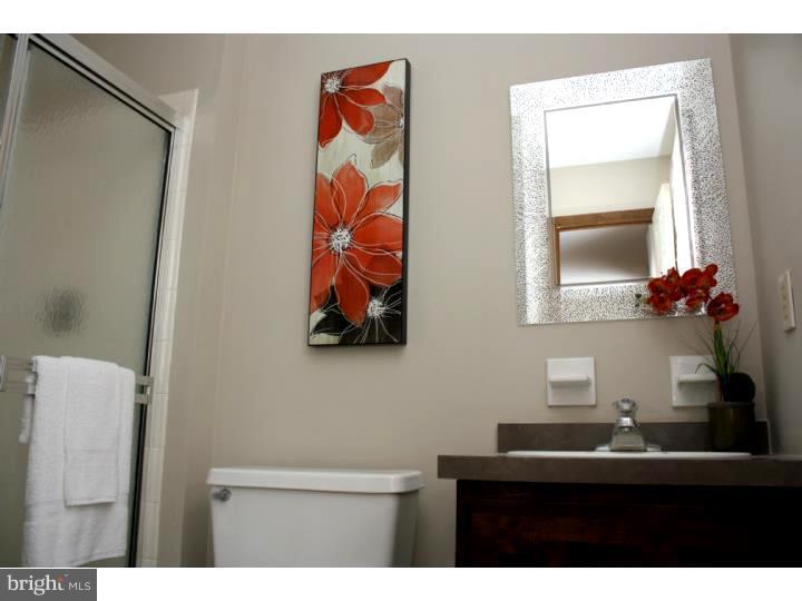 357 Kintner Road Kintnersville, PA 18930 - Photo 11 of 13 Master Bathroom