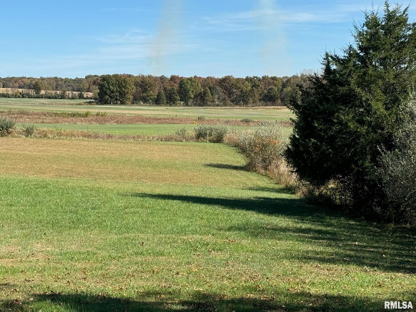 a view of an ocean from a yard